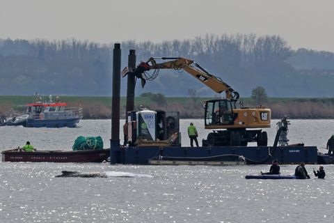 Detaillierte Infos zum Fortschritt der Rettungsaktion gibt es von den Initiatoren nicht. Foto: Bernd Wüstneck/dpa