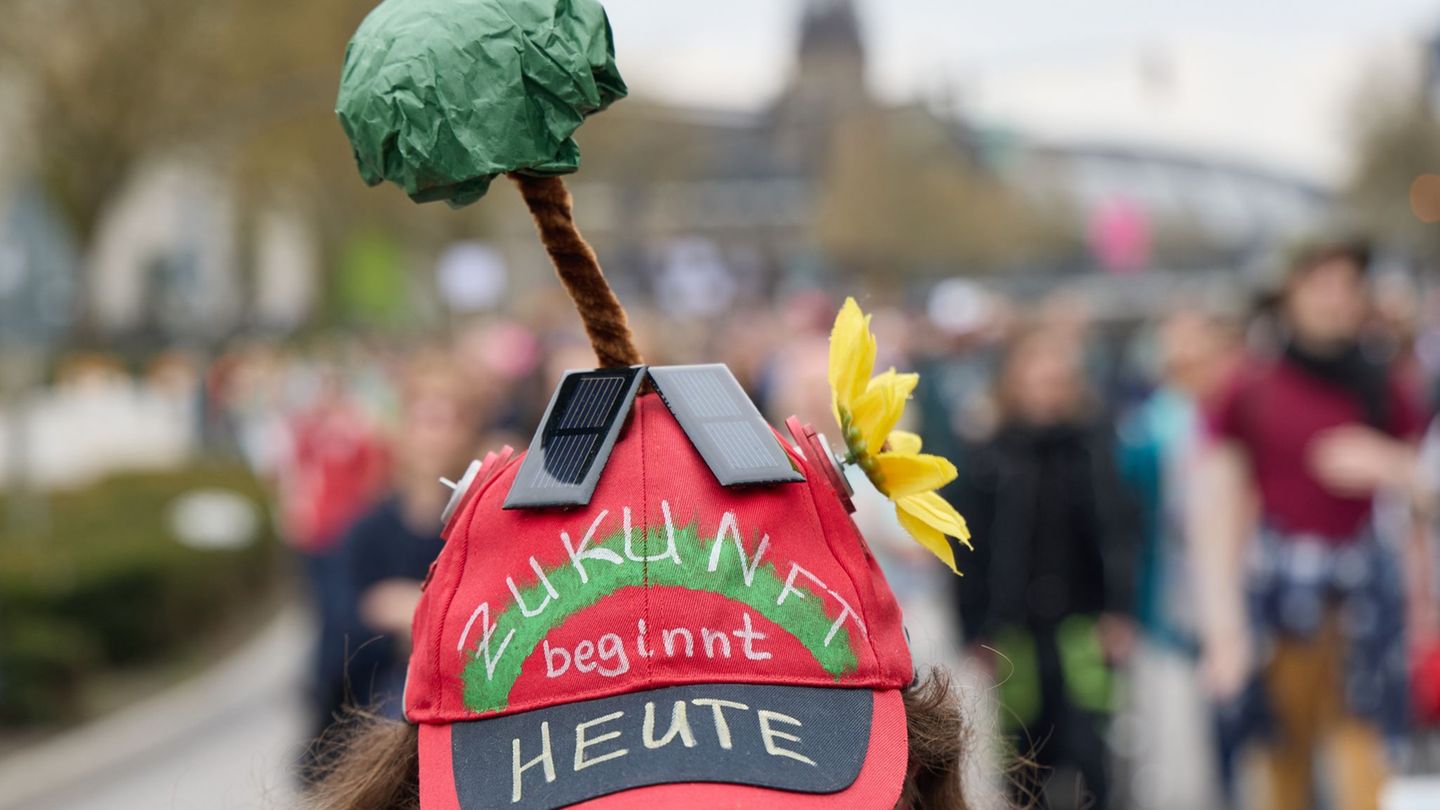 Am Samstag sind rund 15.000 Menschen dem Aufruf zur Demonstration von Fridays for Future in Hamburg gefolgt. Foto: Georg Wendt/d