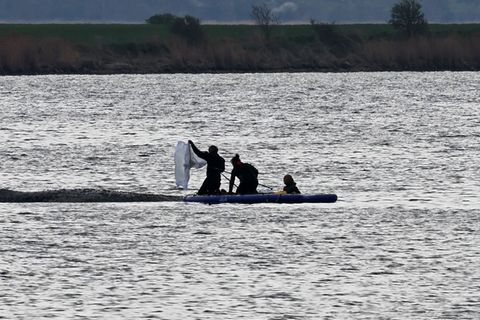 Die Bemühungen um den gestrandeten Wal gehen weiter. Foto: Bernd Wüstneck/dpa