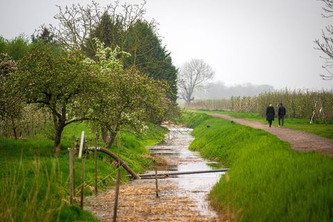 Das Wetter wird am Sonntag und zum Wochenstart kälter, regnerisch und vereinzelt sogar gewittrig. (Symbolbild) Foto: Sina Schuld
