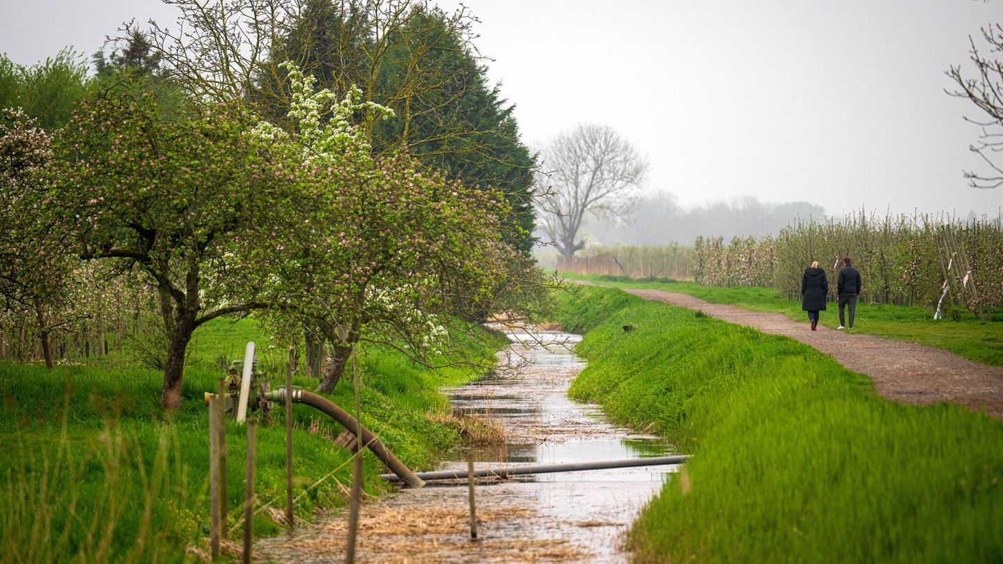 Das Wetter wird am Sonntag und zum Wochenstart kälter, regnerisch und vereinzelt sogar gewittrig. (Symbolbild) Foto: Sina Schuld