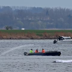 Die Rettungsaktion läuft, aber der Wal sollte am Samstag nicht mehr transportiert werden. Foto: Bernd Wüstneck/dpa