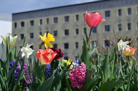 Vom 23. April bis zum 11. Oktober ist die Landesgartenschau in Leinefelde-Worbis im Eichsfeld geöffnet. Foto: Martin Schutt/dpa