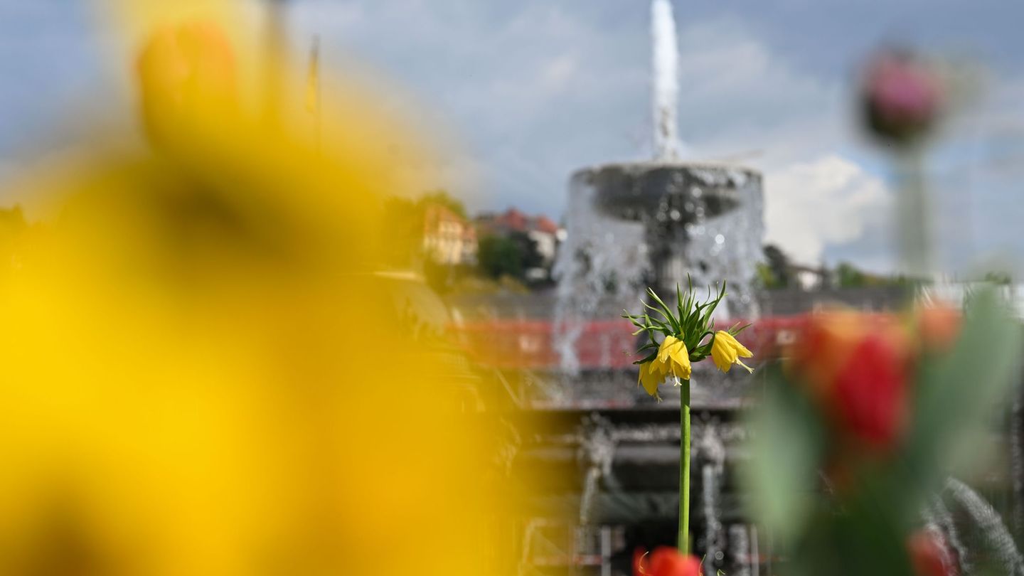 Frühlingsgefühle ade: Stattdessen sind im Land häufig Schauer möglich. (Archivbild) Foto: Katharina Kausche/dpa