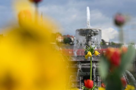 Frühlingsgefühle ade: Stattdessen sind im Land häufig Schauer möglich. (Archivbild) Foto: Katharina Kausche/dpa