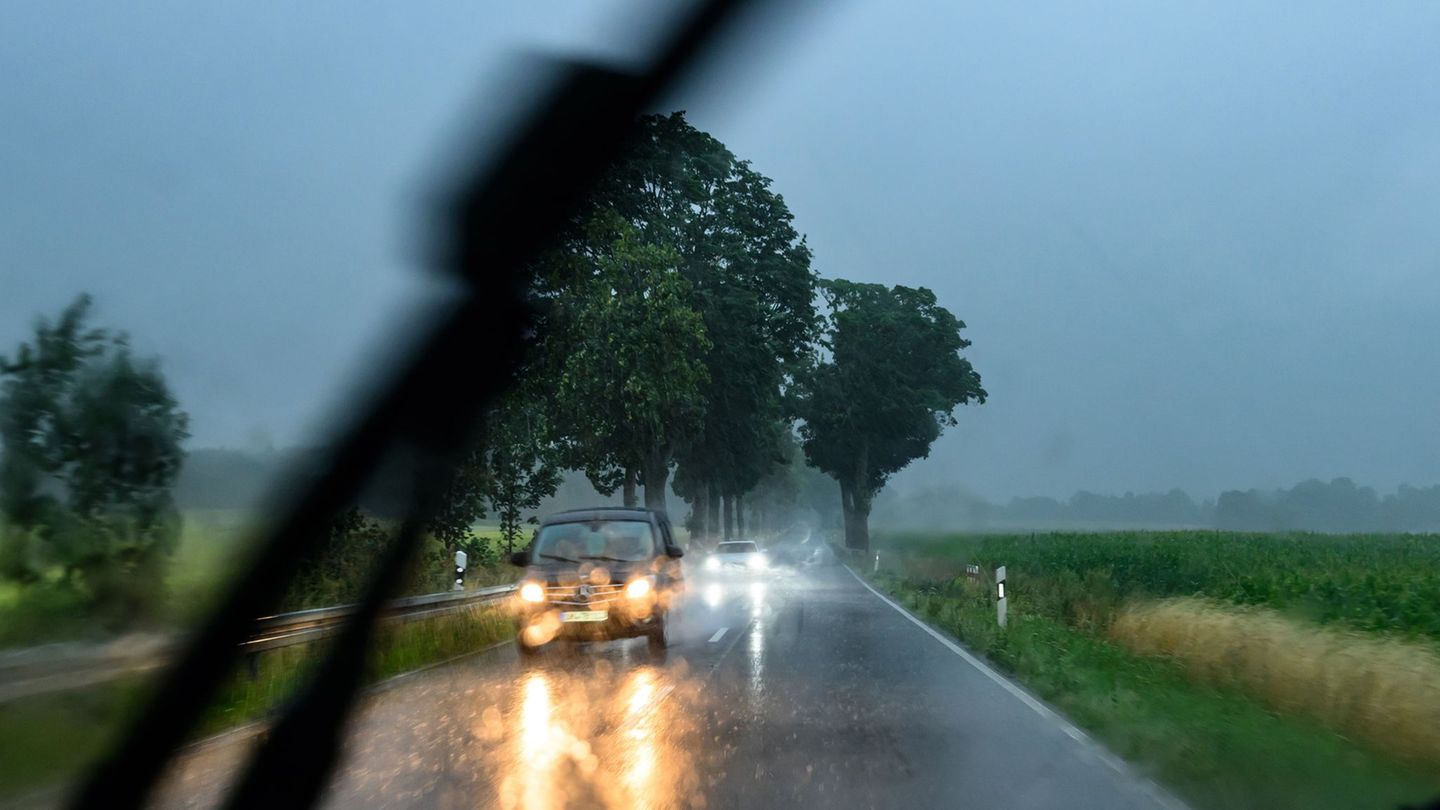 In Brandenburg und Berlin sind starke Regenfälle und Gewitter angekündigt. (Symbolbild) Foto: Patrick Pleul/dpa