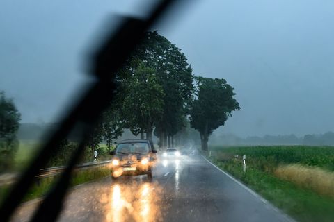 In Brandenburg und Berlin sind starke Regenfälle und Gewitter angekündigt. (Symbolbild) Foto: Patrick Pleul/dpa
