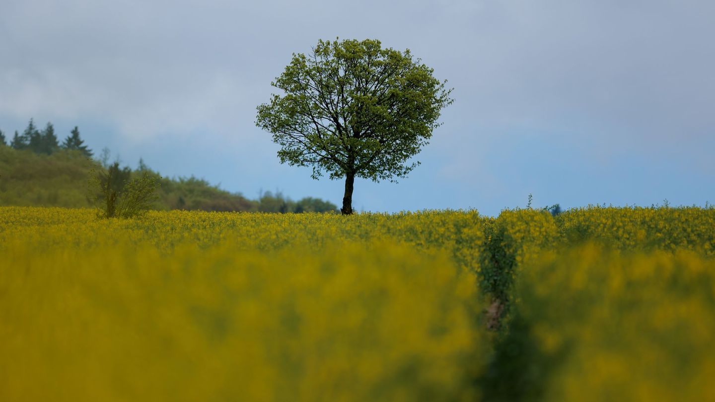 Wetter: Wechselhaftes Wetter zum Wochenstart in Hessen