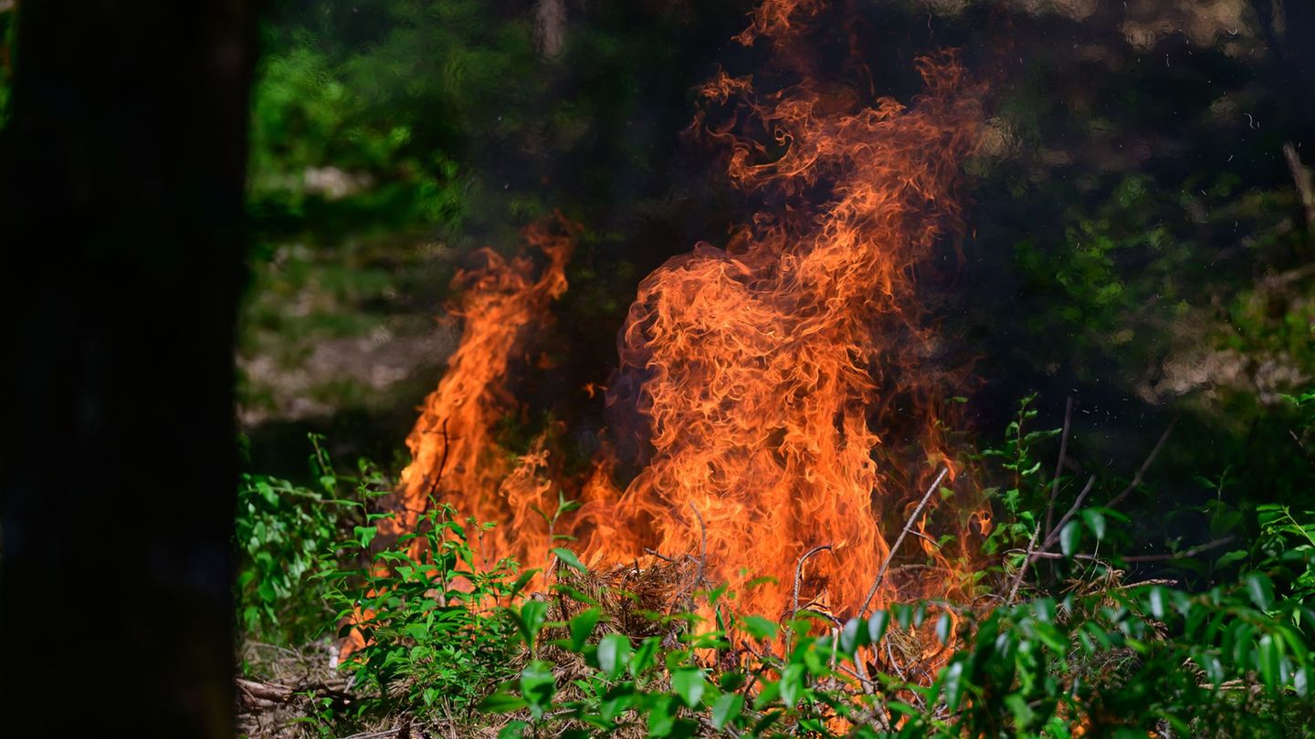 Passanten hatten Rauch bemerkt und einen Notruf abgesetzt. (Symbolbild) Foto: Philipp Schulze/dpa