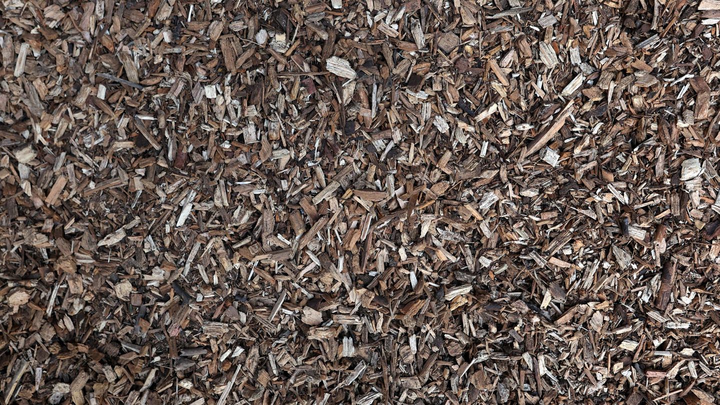 Ein Lager für Hackschnitzel gerät in der Nacht in Brand und löst einen großen Einsatz aus. (Symbolbild) Foto: Karl-Josef Hildenb