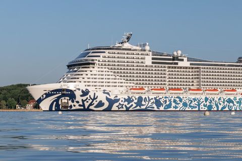 Straße von Hormus: Die „MSC Euribia“