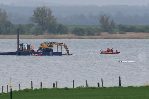 Schwimmkran neben dem gestrandeten Wal