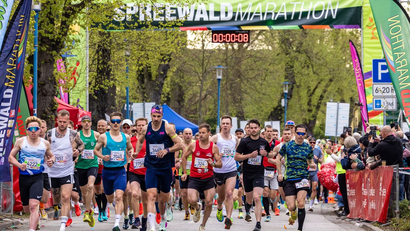 Sie brauchten viel Ausdauer - die Läufer beim 24. Spreewald-Marathon. Foto: Frank Hammerschmidt/dpa