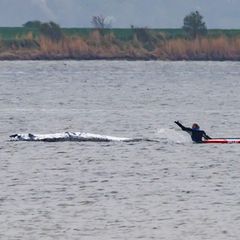 Walretter optimistisch: „Hat viel Lebensenergie gezeigt“