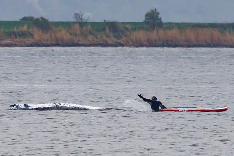 Walretter optimistisch: „Hat viel Lebensenergie gezeigt“