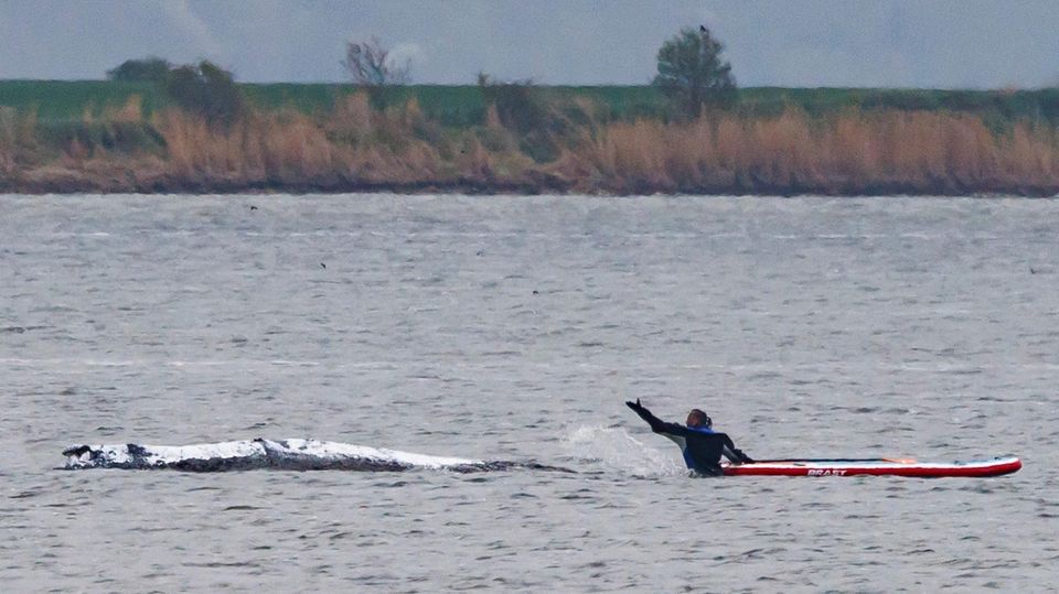 Walretter optimistisch: „Hat viel Lebensenergie gezeigt“