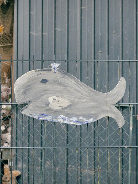 Wal aus Pappe oder Holz an einem Zaun