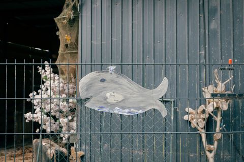 Wal aus Pappe oder Holz an einem Zaun