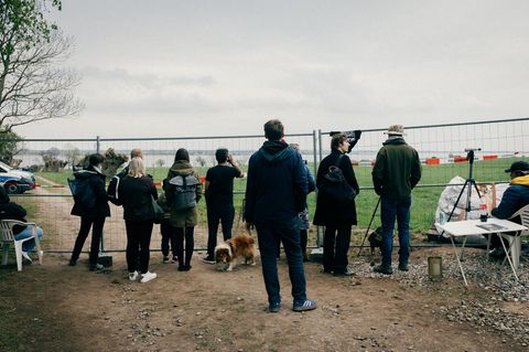 Eine Absperrung vor dem Wal in Poel