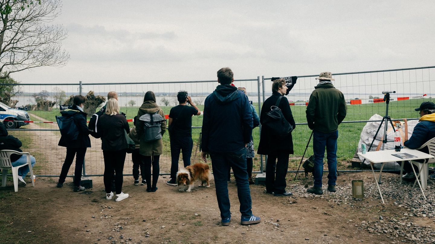 Gestrandeter Wal: Wal-Kampf an der Ostsee