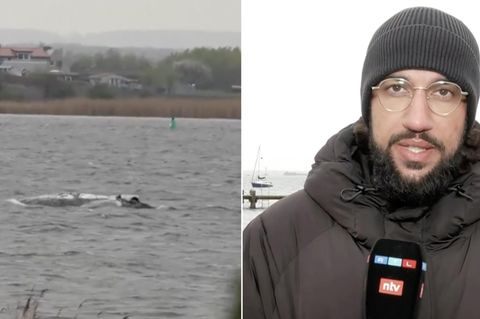 Reporter an der Ostsee: "Unfassbar, was sich hier abspielt"