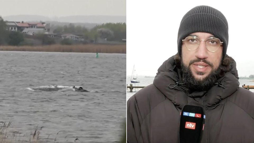 Reporter an der Ostsee: "Unfassbar, was sich hier abspielt"