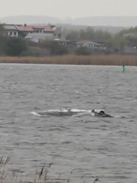 Reporter an der Ostsee: "Unfassbar, was sich hier abspielt"