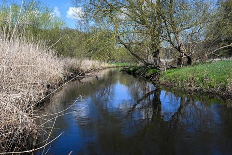 Die Stepenitz fließt auch im Norden von Brandenburg. (Archivbild) Foto: Jens Kalaene/dpa