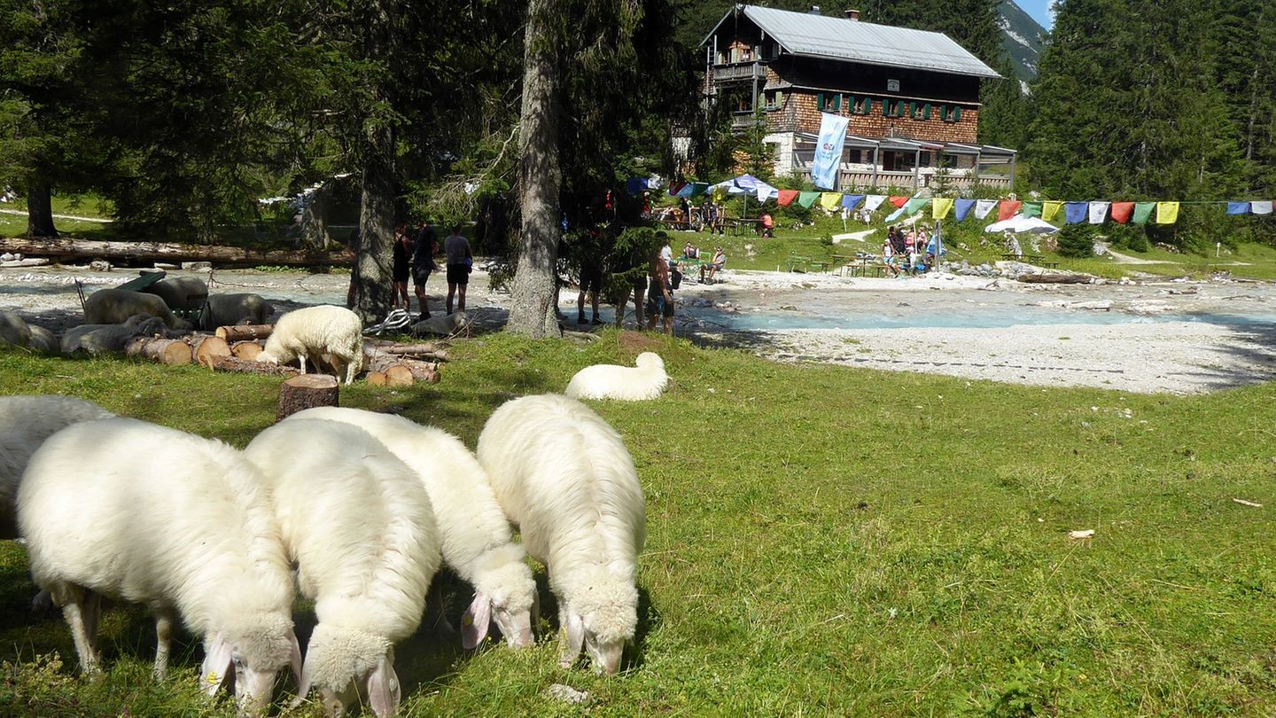 Der tragische Unfall ereignete sich unweit der Reintalangerhütte des Alpenvereins. (Archivbild) Foto: Angelika Warmuth/dpa
