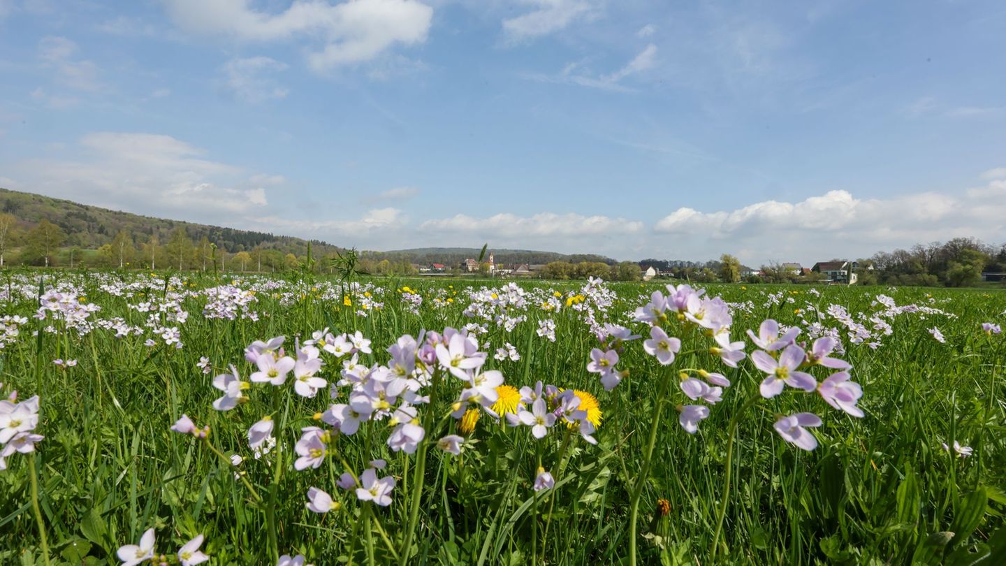 Wetterausblick: Kühler Wochenstart - wann es wieder richtig sonnig wird