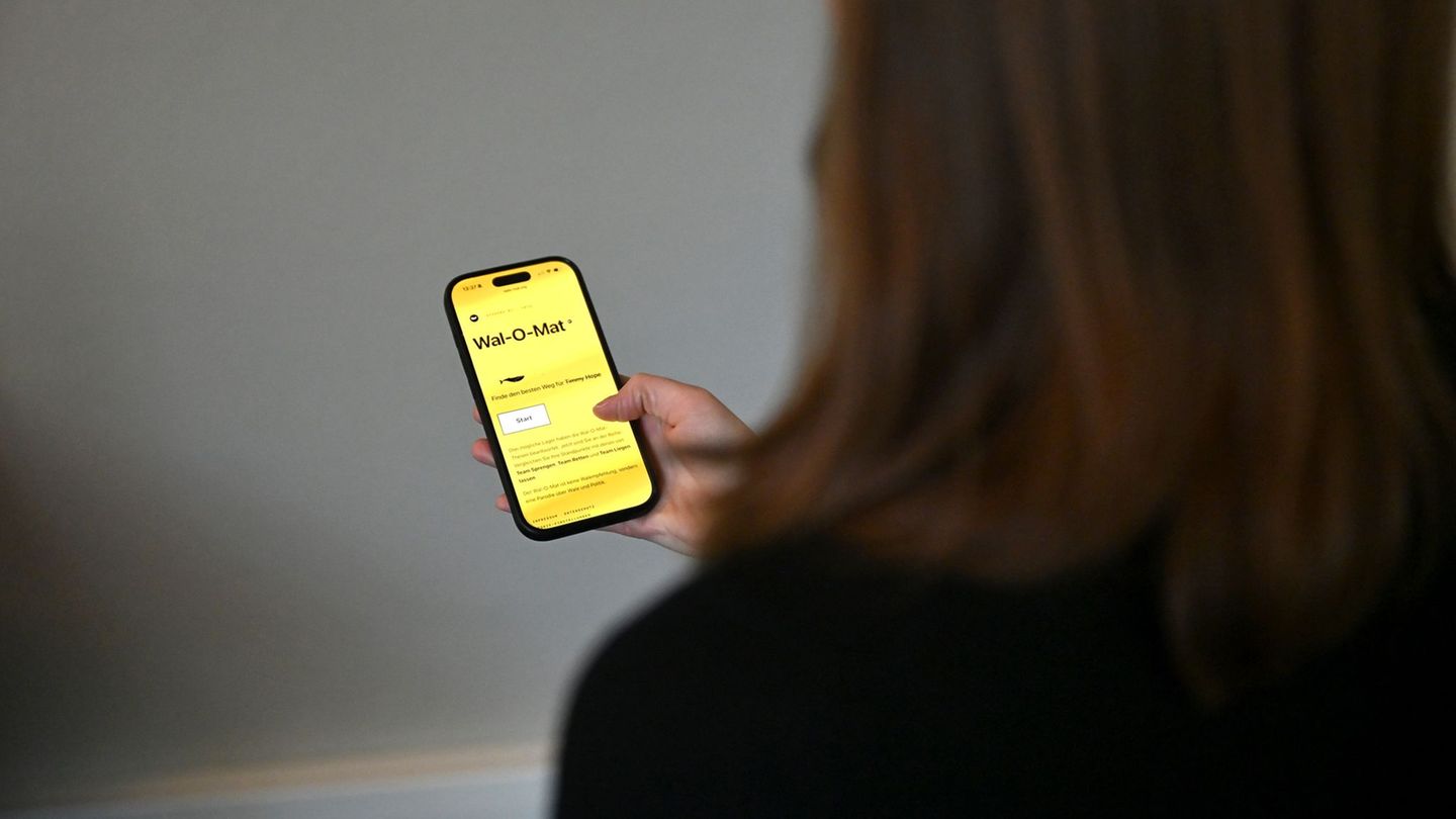 Seit Samstag der „Wal-O-Mat“ zum Buckelwal online (Symbolbild)