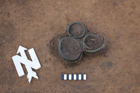Ein Sondengänger hat am Stadtrand von Dresden mehrere Ringe aus der späten Bronzezeit aufgespürt. Foto: -/Landesamt für Archäolo