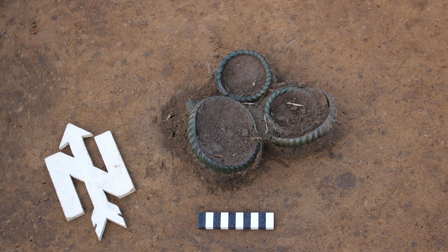Ein Sondengänger hat am Stadtrand von Dresden mehrere Ringe aus der späten Bronzezeit aufgespürt. Foto: -/Landesamt für Archäolo