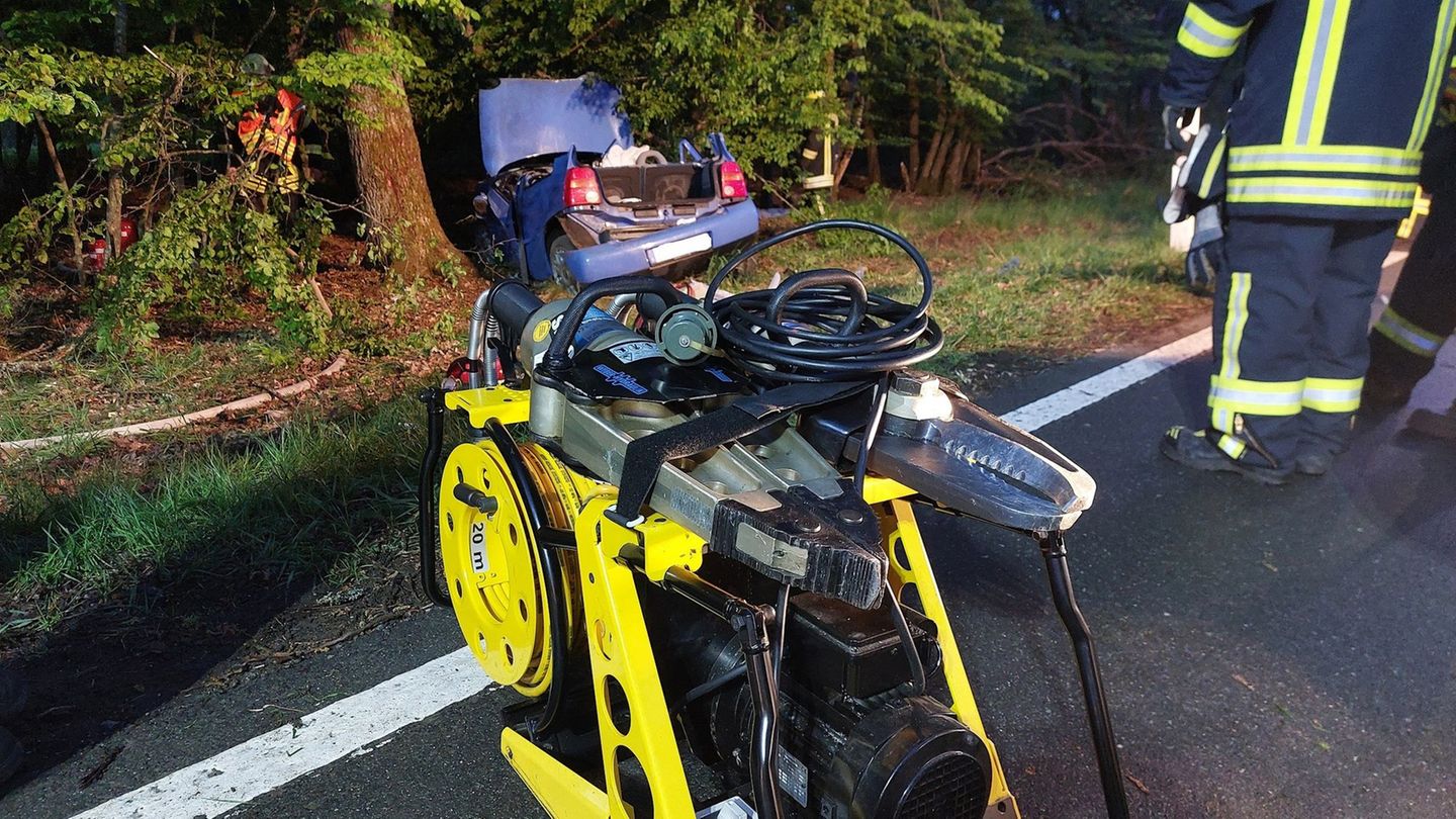 Rheingau-Taunus-Kreis: Auto fährt gegen Baum – Fahrer schwer verletzt