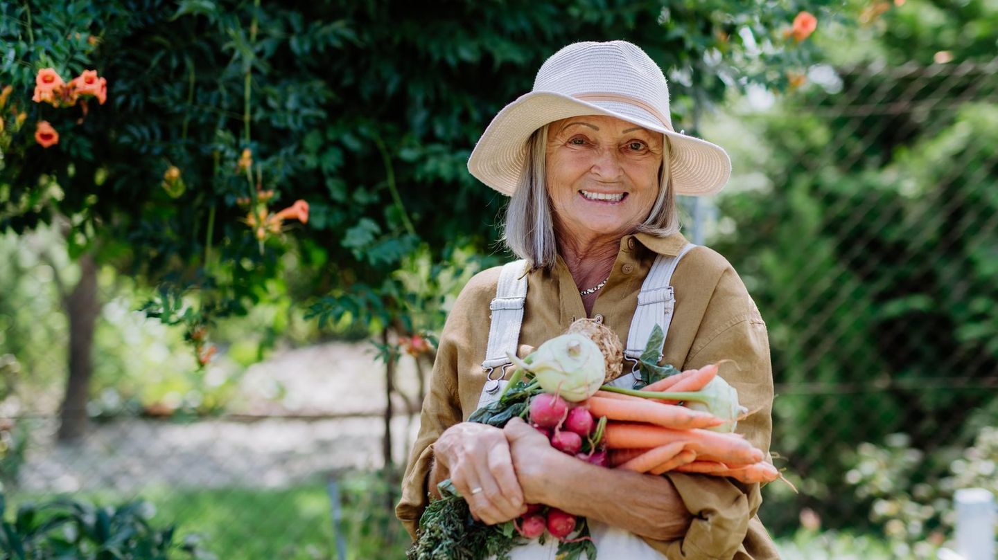 Steuern und Sozialabgaben: 1900 Euro Rente: Wie viel zieht die Rentenkasse ab?