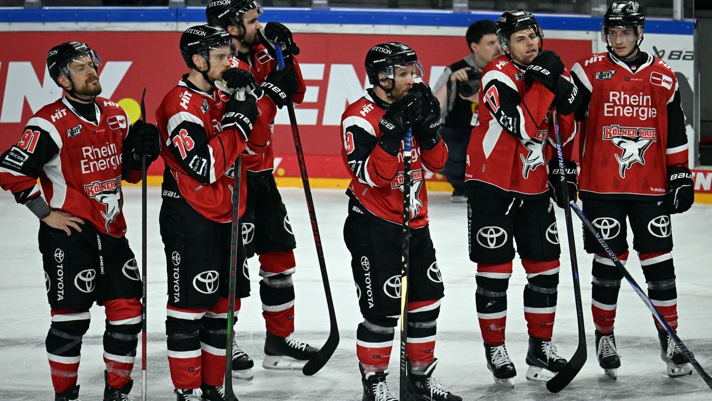 DEL-Playoffs: Standort-Nachteil Köln? Nationalspieler Tuomie hadert