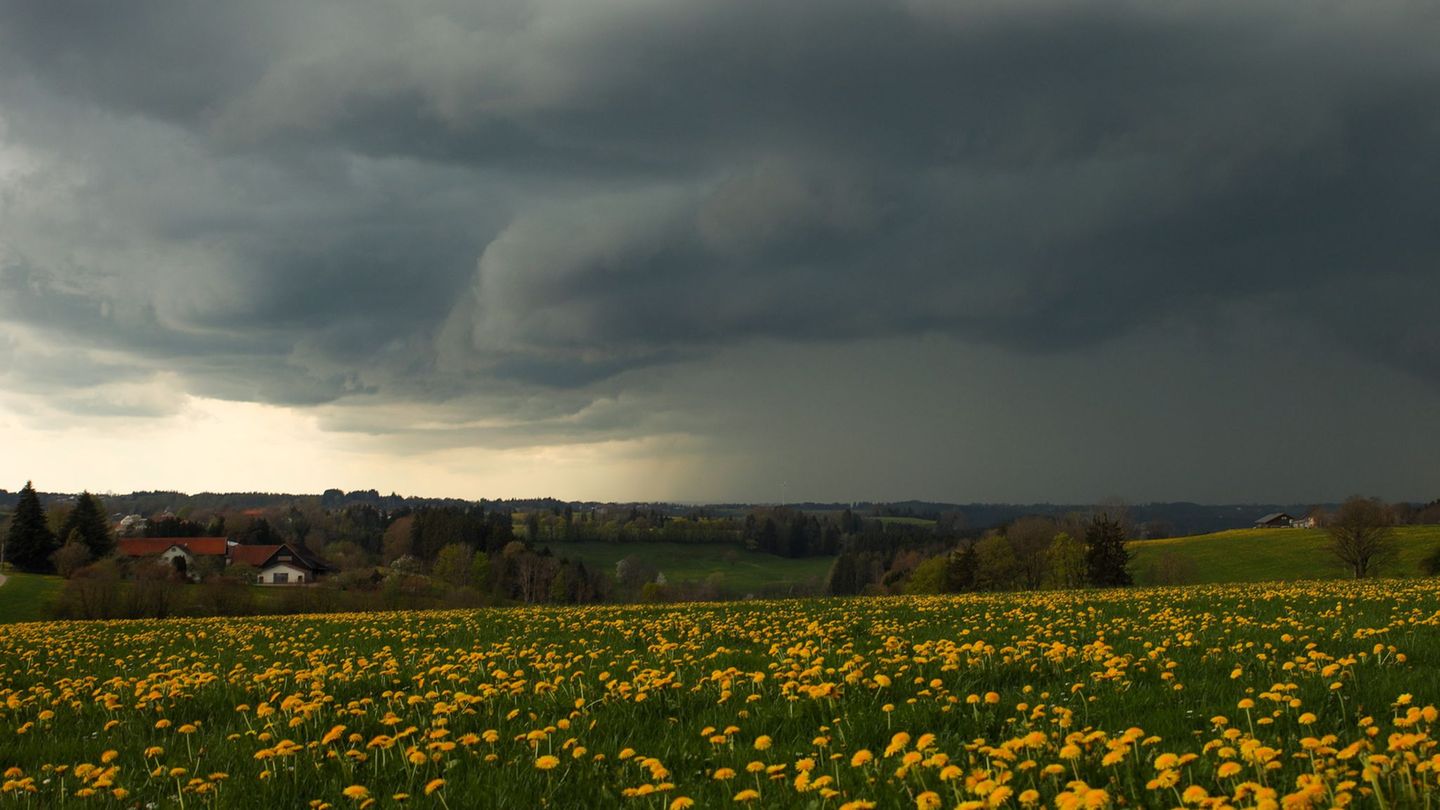 Aprilwetter in Bayern: Blühende Wiesen, Gewitter - aber auch nochmal Frost. Foto: Alexander Wolf/onw-images/dpa