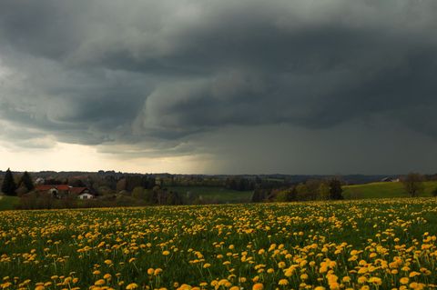 Aprilwetter in Bayern: Blühende Wiesen, Gewitter - aber auch nochmal Frost. Foto: Alexander Wolf/onw-images/dpa