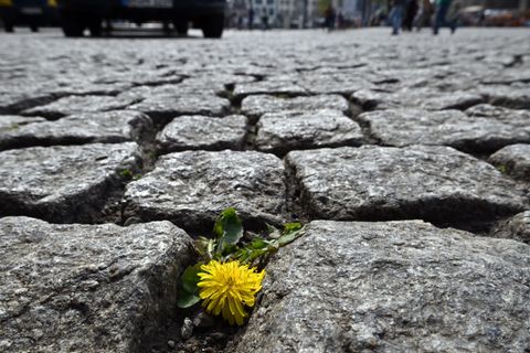In Thüringen wird das Wetter wieder freundlicher. (Symbolbild) Foto: Martin Schutt/dpa