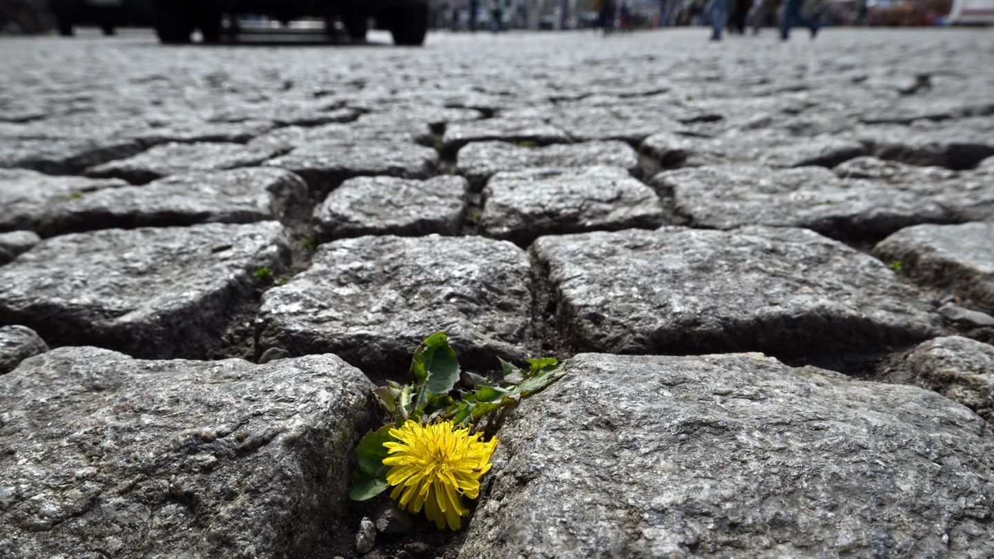 Wetter: Regen zieht ab – Sonne kehrt nach Thüringen zurück