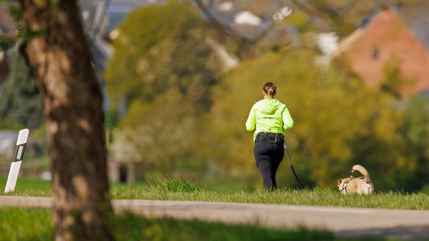 Wettervorhersage: Milde Temperaturen und zunehmend Sonne in Hessen