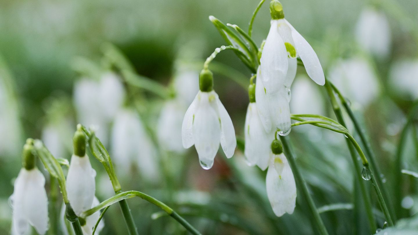 Nass bleibt es am Dienstag im Süden von NRW. (Symbolbild) Foto: Rolf Vennenbernd/dpa