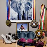 gesammelte Trophäen