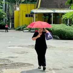 Viele schützen sich mit Schirmen vor der Sonne. Foto: Carola Frentzen/dpa
