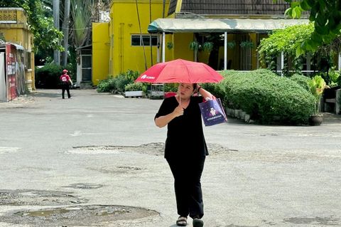 Viele schützen sich mit Schirmen vor der Sonne. Foto: Carola Frentzen/dpa