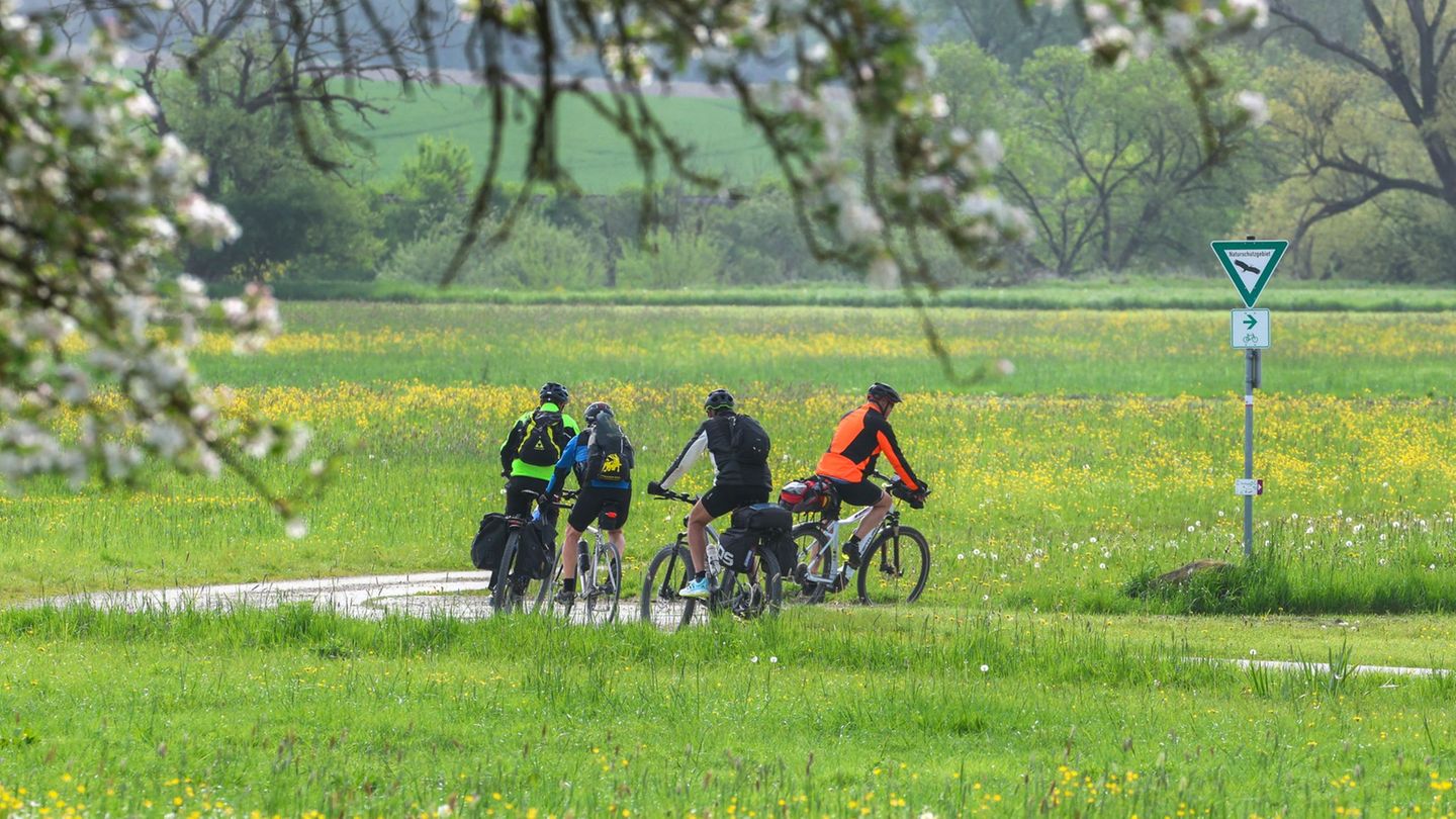 Zu beginnenden Radsaison warnt das Landeskriminalamt Niedersachsen vor Fahrraddiebstahl. (Symbolbild) Foto: Thomas Warnack/dpa