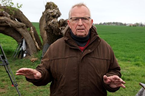 Till Backhaus: Statement zum Wal