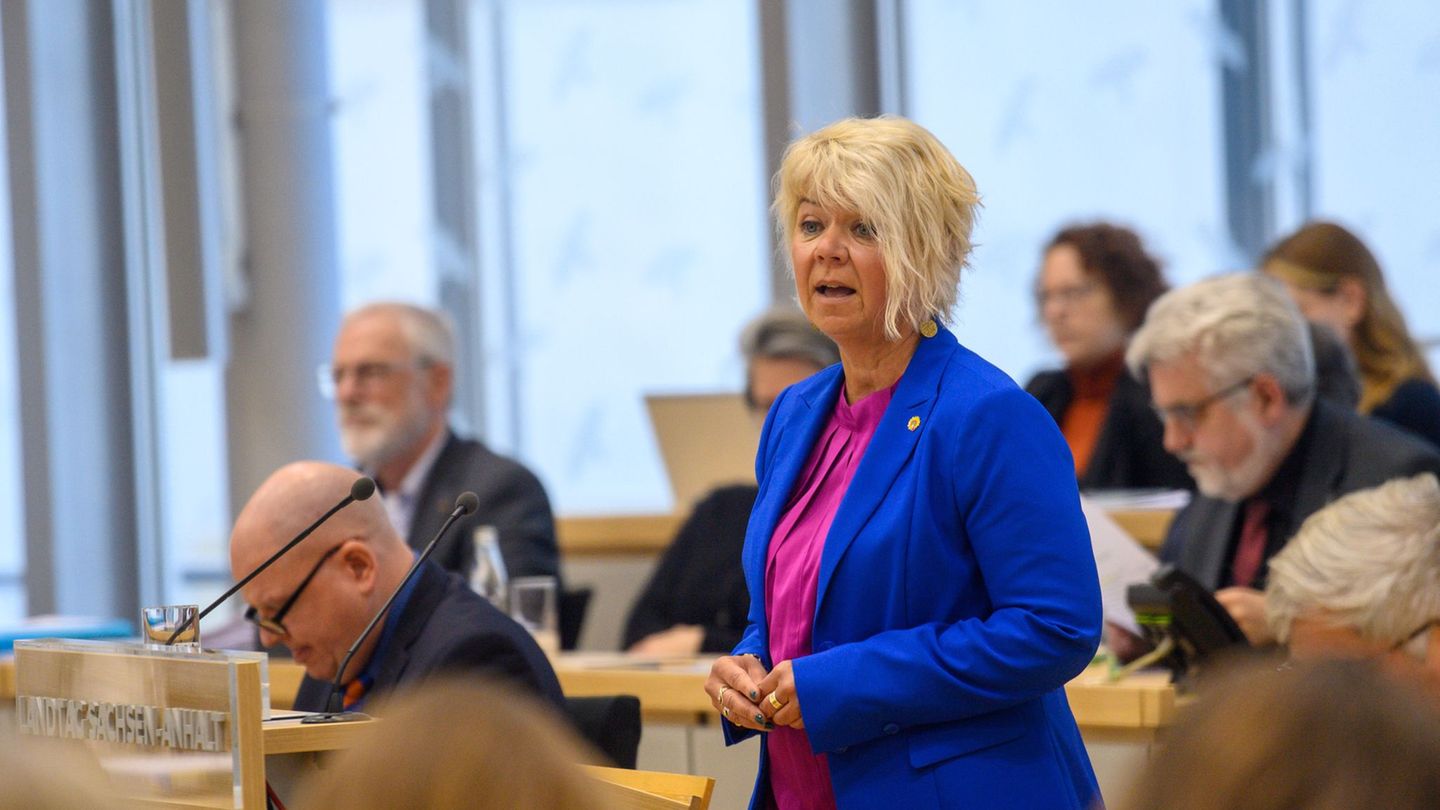 Wind- und Solarenergie müssten konsequent ausgebaut werden, damit man weniger von Öl und Gas abhängig sei, sagt Grünen-Fraktions