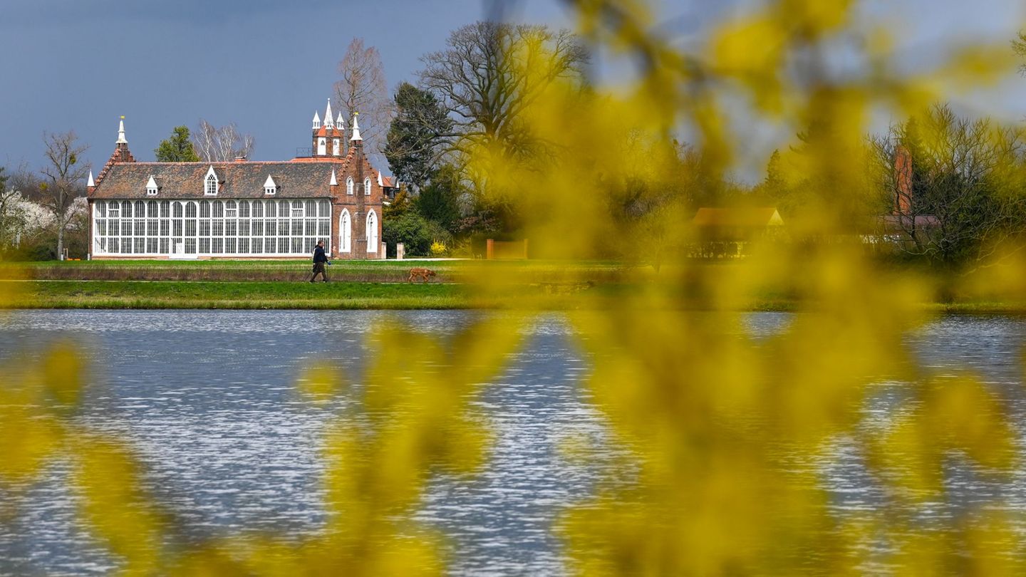 Derzeit wird die Stiftung kommissarisch von Landesarchäologen Harald Meller geleitet. (Archivbild) Foto: Heiko Rebsch/dpa