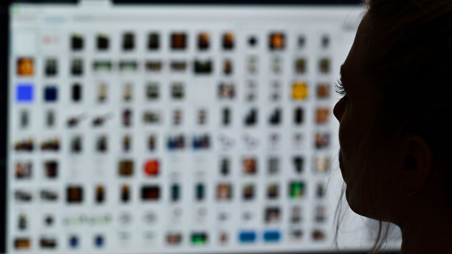 Die Polizei stellte insgesamt rund 1.100 Datenträger sicher. (Symbolbild) Foto: Arne Dedert/dpa